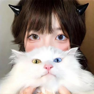 回转企鹅罐 剧场版 前篇